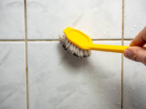 Best Professional Mold Removal  in Enola, PA