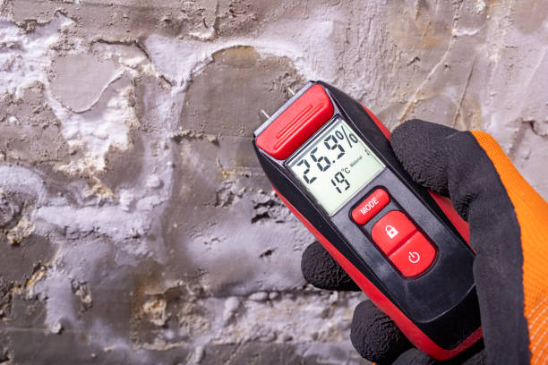 Best Attic Mold Removal  in Enola, PA